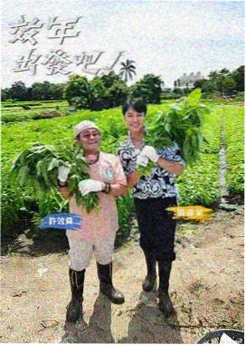 91大片免费观看 影视资讯